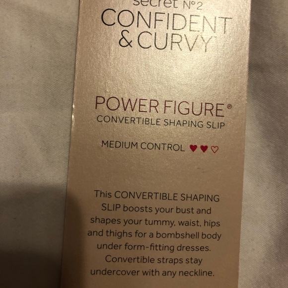 Victoria’s Secret convertible shaping slip - Picture 6 of 6